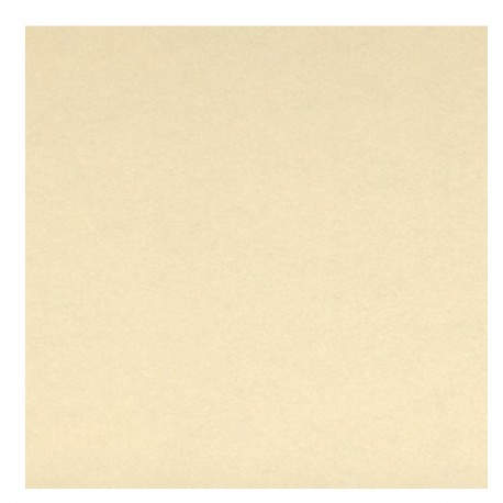 Canson Sand Grain Bloc de hojas de papel para bellas artes 40 hojas