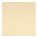 Canson Sand Grain Bloc de hojas de papel para bellas artes 40 hojas