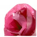 Canson C200992668 papel crepe Rosa