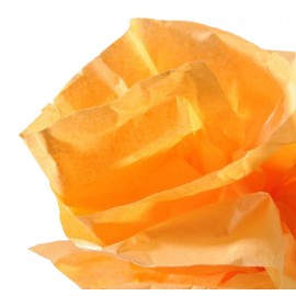 Canson C200992661 papel crepe Naranja