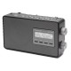 Panasonic RF-D 10 EG-K black