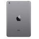 IPAD MINI  32GB  GRIS ESPACIAL