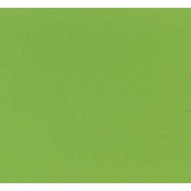 ROLLO FILM AIRONFIX ADH. 45CMX20M BRILLO VERDE