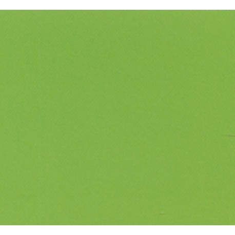 ROLLO FILM AIRONFIX ADH. 45CMX20M BRILLO VERDE