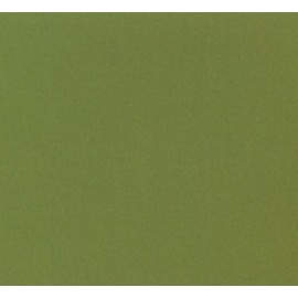 ROLLO FILM AIRONFIX ADH. 45CMX20M BRILLO VERDE OSC