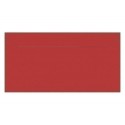 PAQ.10 SOBRES APLI 110x220 120g ROJO