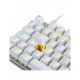 Newskill Gaming NS-KB-SERIKEV2-TKL-IVO teclado USB QWERTY Español Blanco