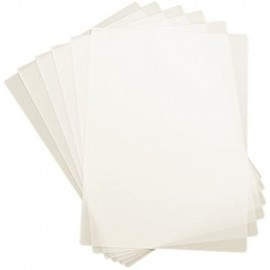 FUNDA PLASTIF. DAHLE  A4 80µ P/25