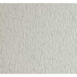 B.50H CART. LR SADIPAL A4 220G BRINA 13221