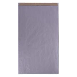 APLI 102061 bolsa de papel Plata