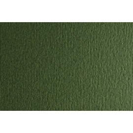 CARTULINA 50x70 FABRI. 220g LR VERD. P/2