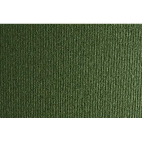 CARTULINA 50x70 FABRI. 220g LR VERD. P/2