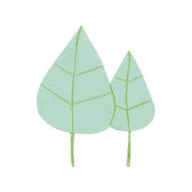 B.3U CARTUL.MAGNET. NIEFENVER 24X15CM VER. 1300158