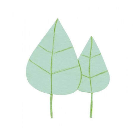 B.3U CARTUL.MAGNET. NIEFENVER 24X15CM VER. 1300158