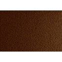 CARTULINA A4 SIRIO 250g LR MARRONE P/50