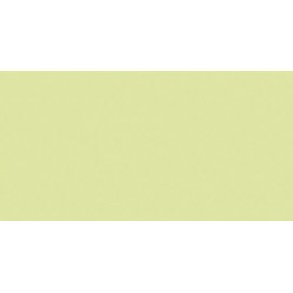 PAPEL COLOR A4 IRIS 80g 100h VERDE MANZ.