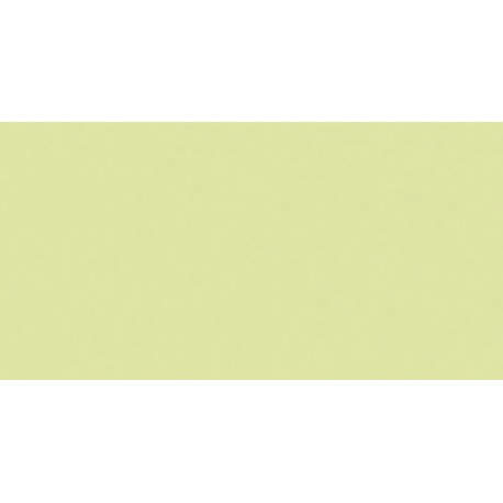 PAPEL COLOR A4 IRIS 80g 100h VERDE MANZ.