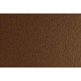 CART. SADIPAL 50X70CM 220G MARRON F42450706 - Pack de 20 unidades