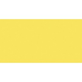 PAPEL COLOR A4 IRIS 80g 100h GUALDA