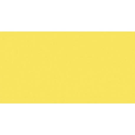 PAPEL COLOR A4 IRIS 80g 100h GUALDA