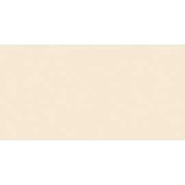 PAPEL COLOR A4 IRIS 80g 100h SALMON