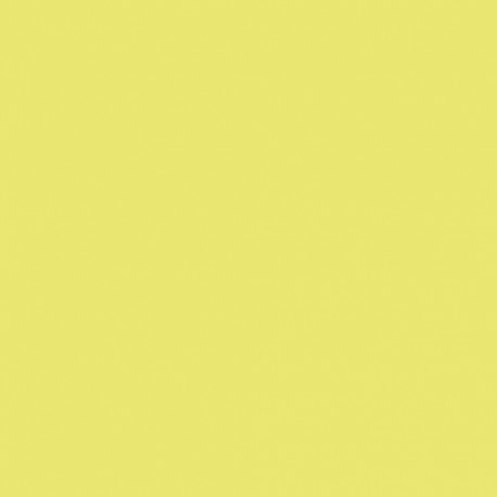 CARTULINA A3 IRIS 185g KIWI P/50