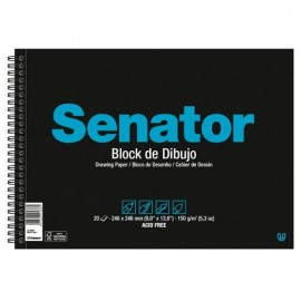 SENATOR BLOCK DIBUJO ESPIRAL 20 HOJAS 150 GR SIN RECUADRO FOLIO PROLONGADO