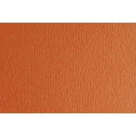 CARTULINA 50x70 FABRI. 220g LR ARAG. P/2