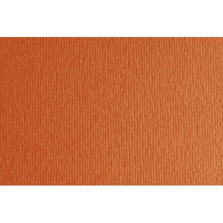 CARTULINA 50x70 FABRI. 220g LR ARAG. P/2