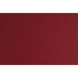 CARTULINA 50x70 FABRI. 220g LR CILI. P/2