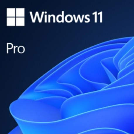 WINDOWS PRO 11 32/64BIT ESP USB
