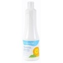 TEMPERA PAJARITA LIQ.500 ml BLANCO TL-01