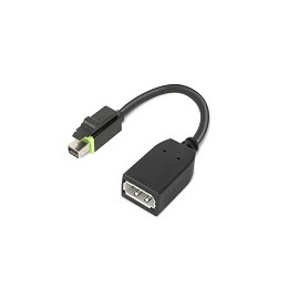 Lenovo 4X90Q93975 adaptador de cable de vídeo Mini DisplayPort DisplayPort Negro