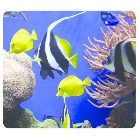 ALFOMBRILLA RATON FELLOWES ACUARIO 5909301