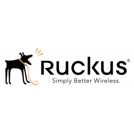 RUCKUS Networks S02-0001-1LSC extensión de la garantía