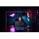 ASUS - ASUS ROG Strix SCAR 18 G834JZR-N6002W - Ordenador Portátil Gaming de 18''