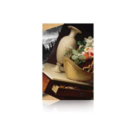 Epson Premium Luster Photo Paper, 60'' x 30,5 m, 260 g/m²