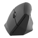 ERGO LINE - ERGO vertical wireless mouse dual connection mode Bluetooth + USB-