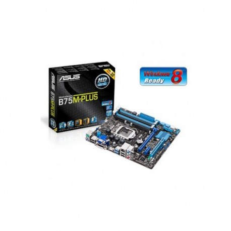 Asus 1155 B75M-PLUS