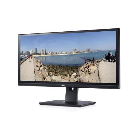 DELL UltraSharp U2913WM  29''  Negro
