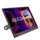 ASUS ZenScreen MB169CK pantalla para PC 39,6 cm (15.6'') 1920 x 1080 Pixeles Full HD LCD Negro