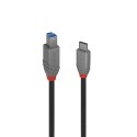 Lindy 36665 cable USB 0,5 m USB 3.2 Gen 1 (3.1 Gen 1) USB C USB B Negro