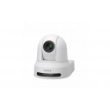 Sony SRG-X40UH Almohadilla Cámara de seguridad IP Interior 3840 x 2160 Pixeles Techo/pared
