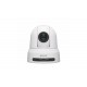 Sony SRG-X40UH Almohadilla Cámara de seguridad IP Interior 3840 x 2160 Pixeles Techo/pared