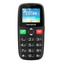 Aiwa FPH-S100-2G teléfono móvil 4,57 cm (1.8'') 58 g Negro Característica del teléfono